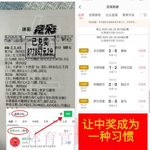 世界杯竞猜平台真实口碑深度解读